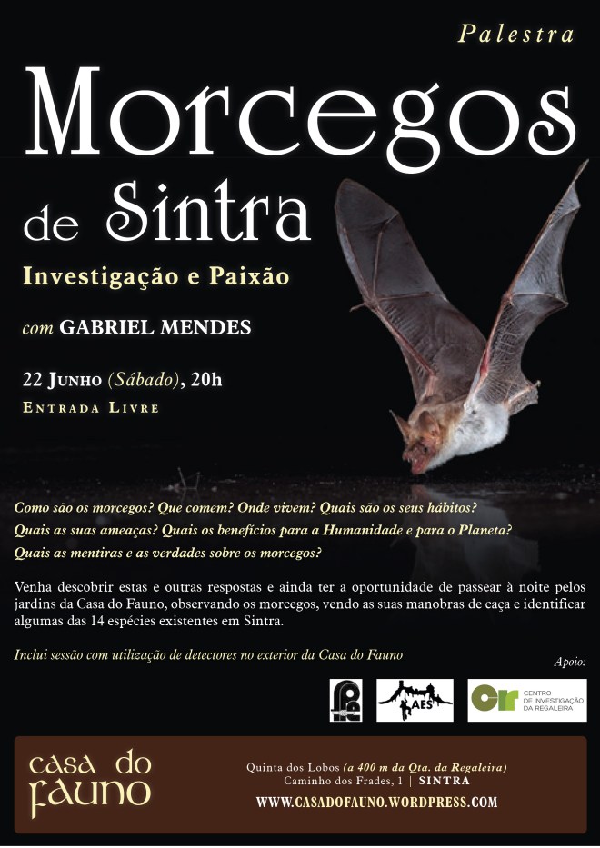 PalestraMorcegosDeSintra